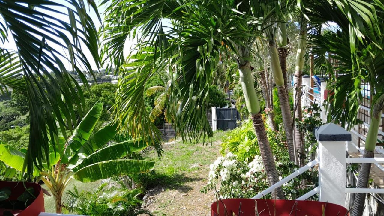 Coconing Logements Studios Et Maisons Sainte-Anne (Grande-Terre) Exterior foto