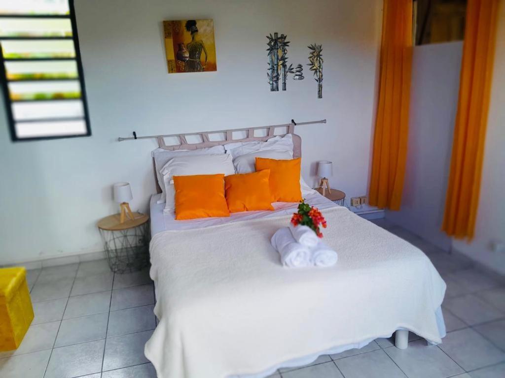 Coconing Logements Studios Et Maisons Sainte-Anne (Grande-Terre) Exterior foto